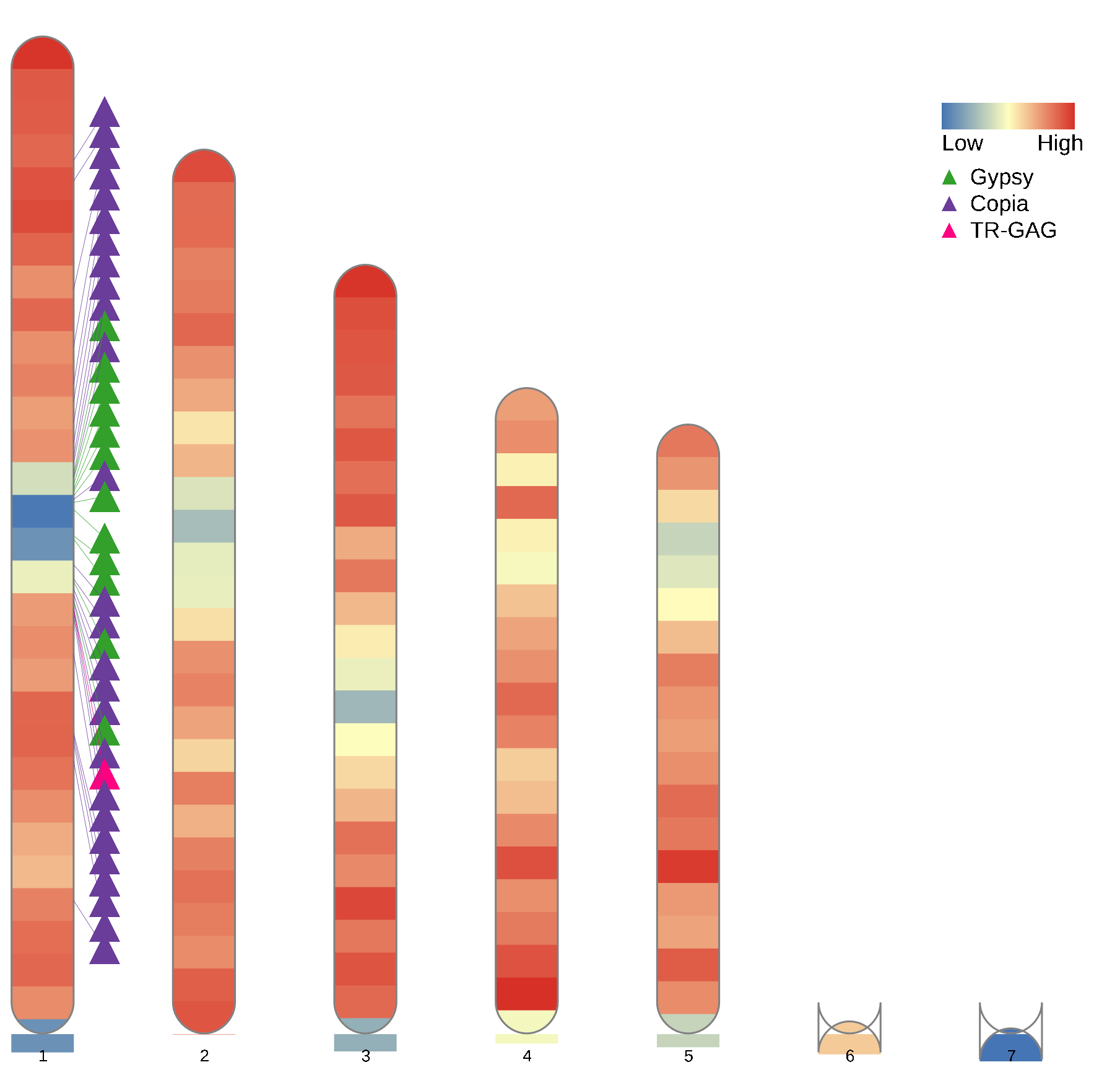 Genes and LTR-RTs density across chromosomes